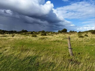 Ferienhaus Bagenkop  37