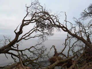 Holiday house Bagenkop  6