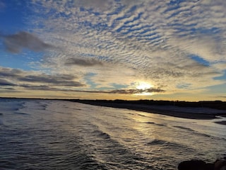 Ferienhaus Aalbæk  56