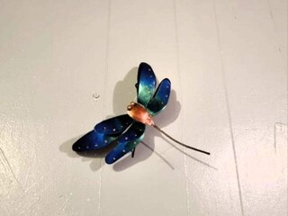 Vakantiehuis Welt  20