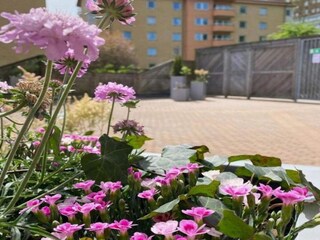 Holiday park Göteborg Outdoor Recording 2