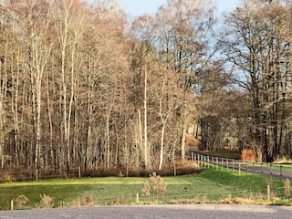 Ferienhaus Ängelholm  31