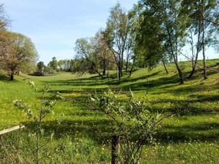 Vakantiehuis Ängelholm  26