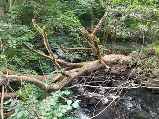 Ferienhaus Ängelholm  35