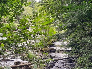 Ferienhaus Ängelholm  22