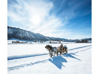 Appartamento Radstadt Ambiente 17