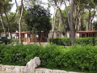 Vakantiepark Biograd Buitenaudio-opname 6