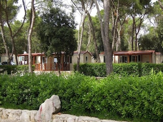 Ferienpark Biograd Außenaufnahme 8