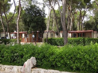 Holiday park Biograd Outdoor Recording 4