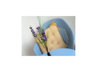 Maison de vacances Tating  47