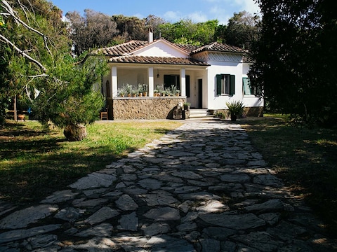 Holiday apartment Noemi-Baratti