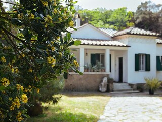 Appartamento per vacanze Livorno Registrazione all'aperto 3