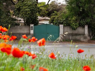 Appartamento per vacanze Livorno Registrazione all'aperto 5