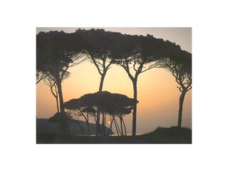 Appartamento per vacanze Livorno Ambiente 25