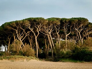 Appartamento per vacanze Livorno Ambiente 27