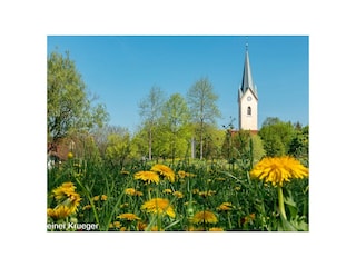 Eriskirch