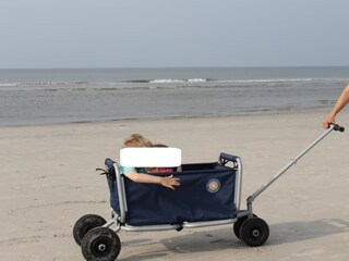 Strand-Bollerwagen