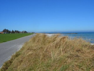 Deich und Dünen vor dem Haus