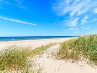 Ihr Strand im Sommer