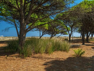 Parque de vacaciones Limpiddu Grabación al aire libre 5