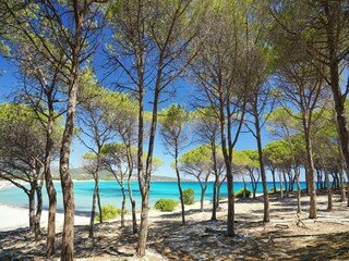 Parc de vacances Tanaunella Environnement 16