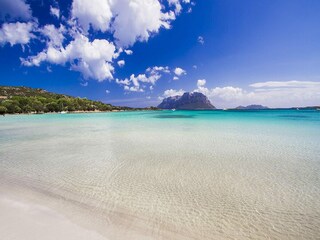 Appartamento Porto Istana Ambiente 20