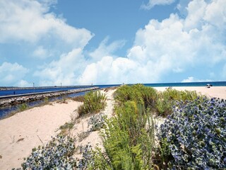 Villa Vilamoura Environment 34