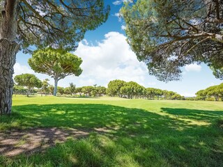 Villa Vilamoura Registrazione all'aperto 9