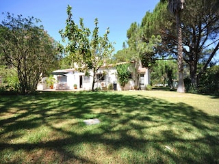 Holiday house Almancil Outdoor Recording 8