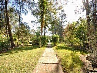 Holiday house Almancil Outdoor Recording 3