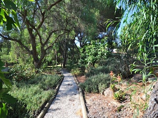 Maison de vacances Almancil Enregistrement extérieur 8