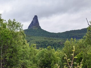 Appartement Ospeskogen  31