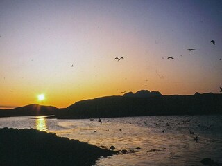 Appartement Ospeskogen  7