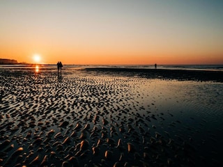 Apartment Ostende Umgebung 40