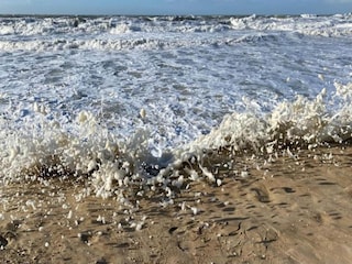 Appartement Ostende Omgeving 22