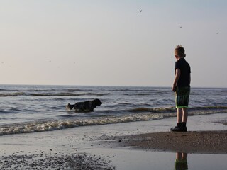 Appartamento per vacanze Schoorl Ambiente 18