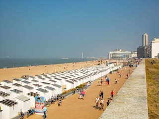 Maison de vacances Ostende Environnement 15