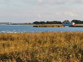 Mit dem Schiff nach Barth!