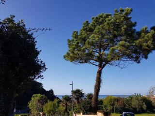 Parco vacanze Biarritz Ambiente 36