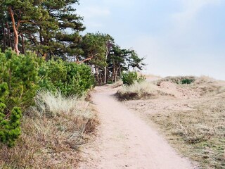 Vakantiehuis Halmstad  31