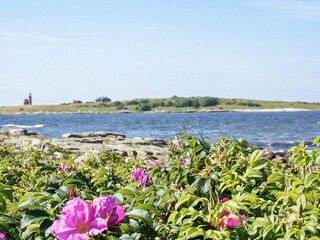 Vakantiehuis Halmstad  33