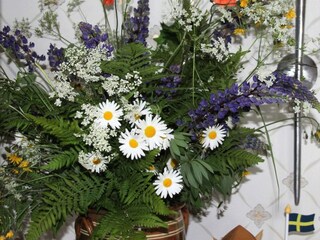 Vakantiehuis Mellerud  20