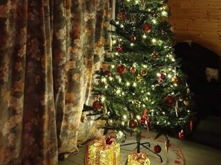 Vakantiehuis Mellerud  30