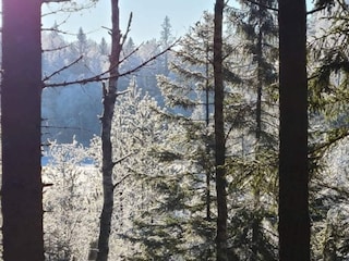 Ferienhaus Mellerud  41