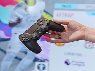 Vakantiehuis Colijnsplaat  40