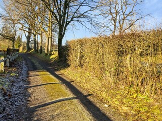 Vakantiehuis Saint-Hubert Omgeving 32