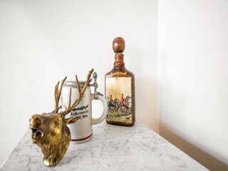 Vakantiehuis Saint-Hubert  38