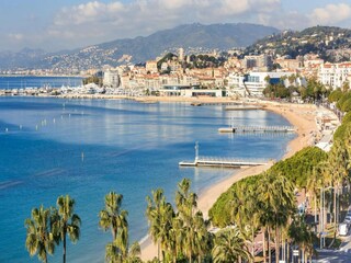 Appartement Cannes Environnement 36