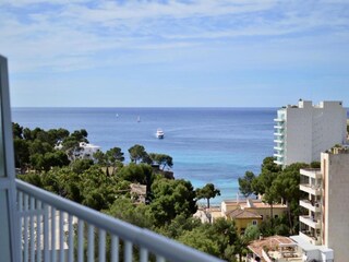 Appartement Cannes Environnement 19