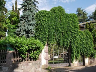 Vakantieappartement Meran Buitenaudio-opname 10